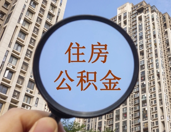 茌平如何登录公积金账号（茌平怎么登录公积金个人账户）